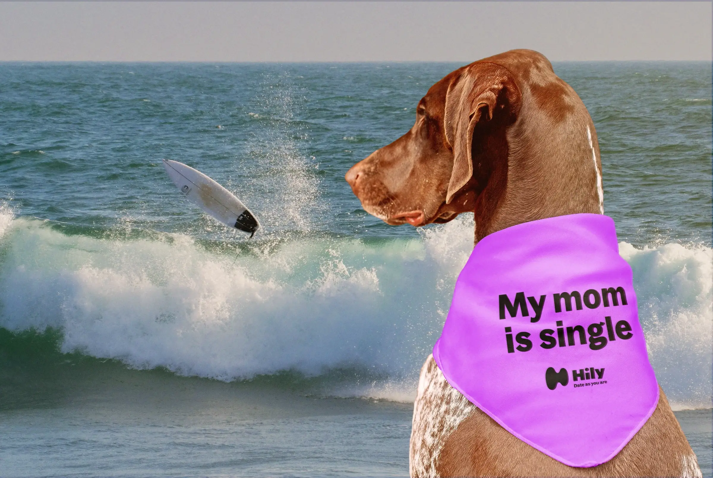 Making Waves in Love: Hily Connects Singles at Surf Dog Surf-A-Thon by Helen Woodward Animal Center